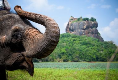 ▷ Пътуване до  Шри Ланка - Hermes Holidays